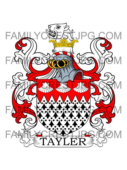 Tayler Family Crest - Oxford, England