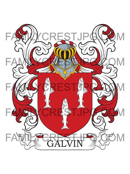 Galvin Family Crest - Galvan