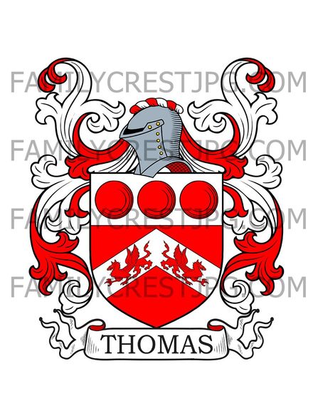 Thomas Family Crest - Dublin, Ireland