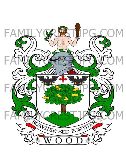 Wood Family Crest - Lieutenant-Colonel Alexander Wood, served in 120th Regiment in 1795