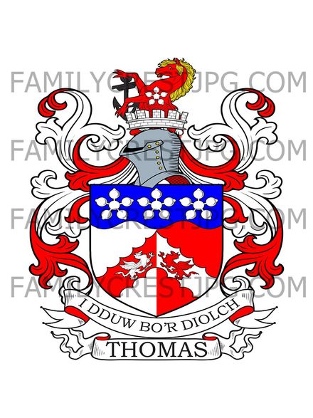 Thomas Family Crest - Wellfield, co. Radnor, Wales