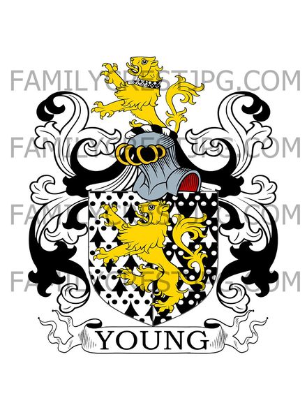 Young Family Crest - Cheshire &amp; Flint