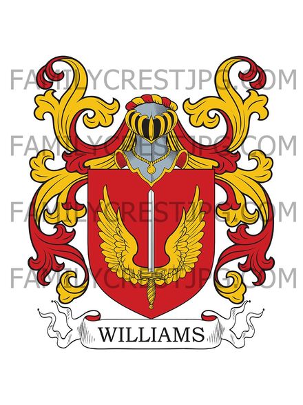 Williams Family Crest - Ireland