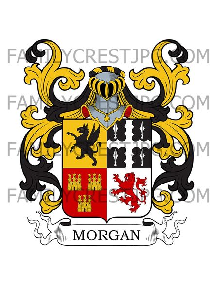 Morgan Family Crest - Newport, co. Monmouth, Wales