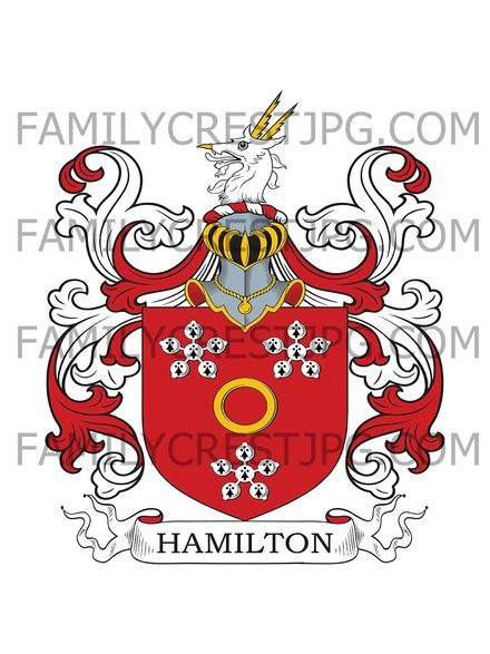 Hamilton Family Crest - Orbiston, co. Lanark, Scotland