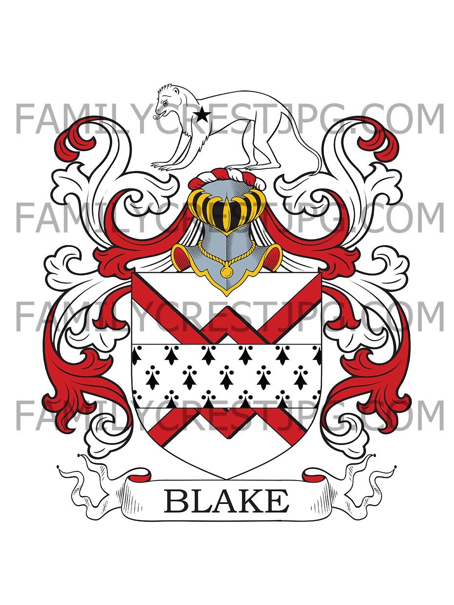 Blake Family Crest - Menlough, co. Galway, Ireland 1622