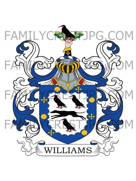 Williams Family Crest - Helton, co. Dorset, England