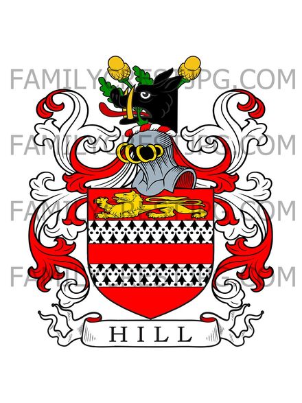 Hill Family Crest - Bury St. Edmunds, co. Suffolk, England