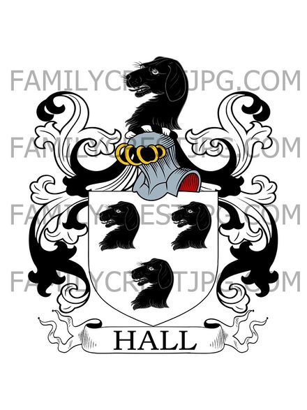 Hall Family Crest - Hermitage, co. Cheshire, England