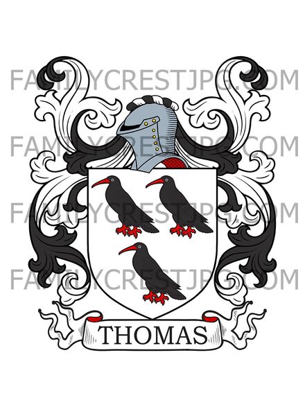 Thomas Family Crest - Oxford, England