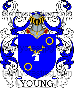 Young Family Crest, Young Coat of Arms