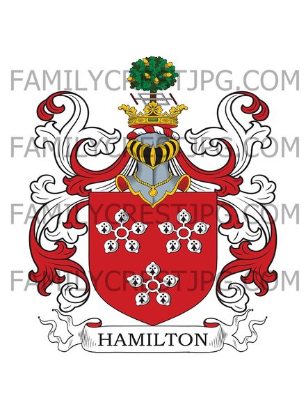 Hamilton Family Crest - Fahy, co. Galway, Ireland
