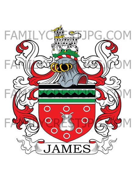 James Family Crest - Exeter, England