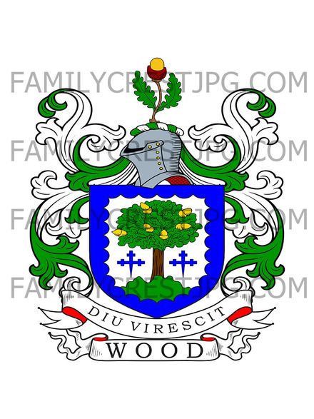 Wood Family Crest - Grangehaugh, East Lothian, Scotland