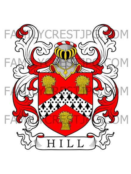 Hill Family Crest - Hill Tope, co. Cornwall, England