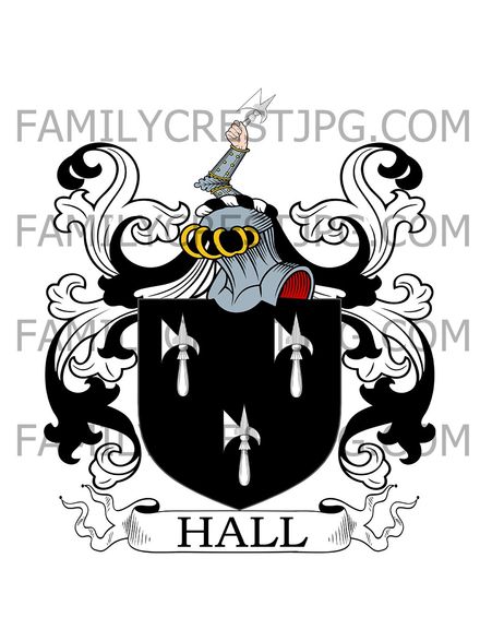 Hall Family Crest - Bradford, co. Wiltshire, England