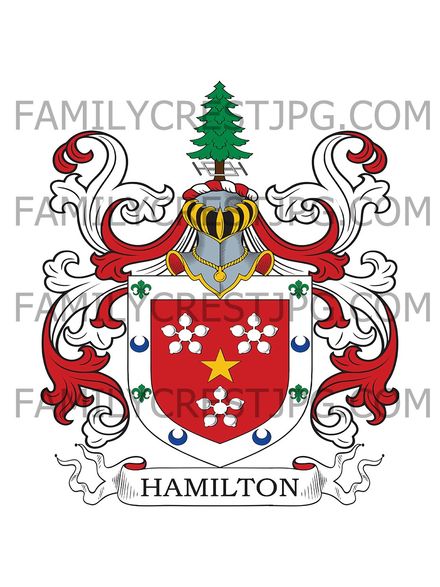 Hamilton Family Crest - Edinburgh, Scotland