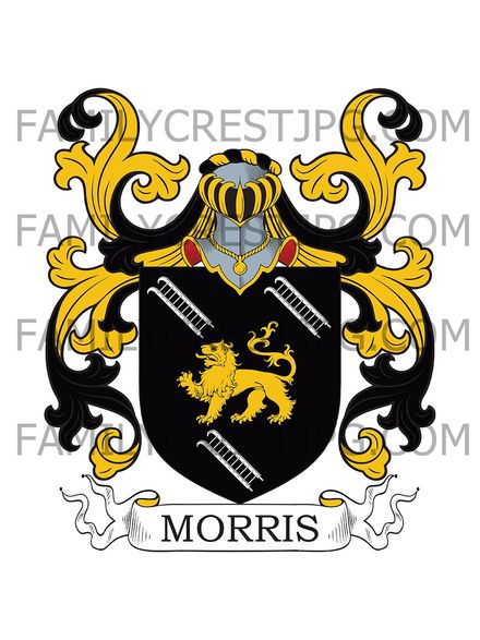 Morris Family Crest - Cardigan, Wales