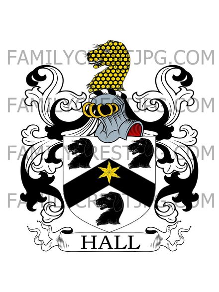 Hall Family Crest - Hallstead, co. Wiltshire, England