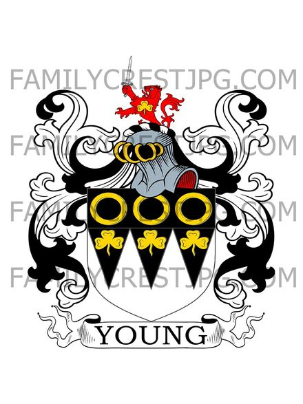 Young Family Crest
