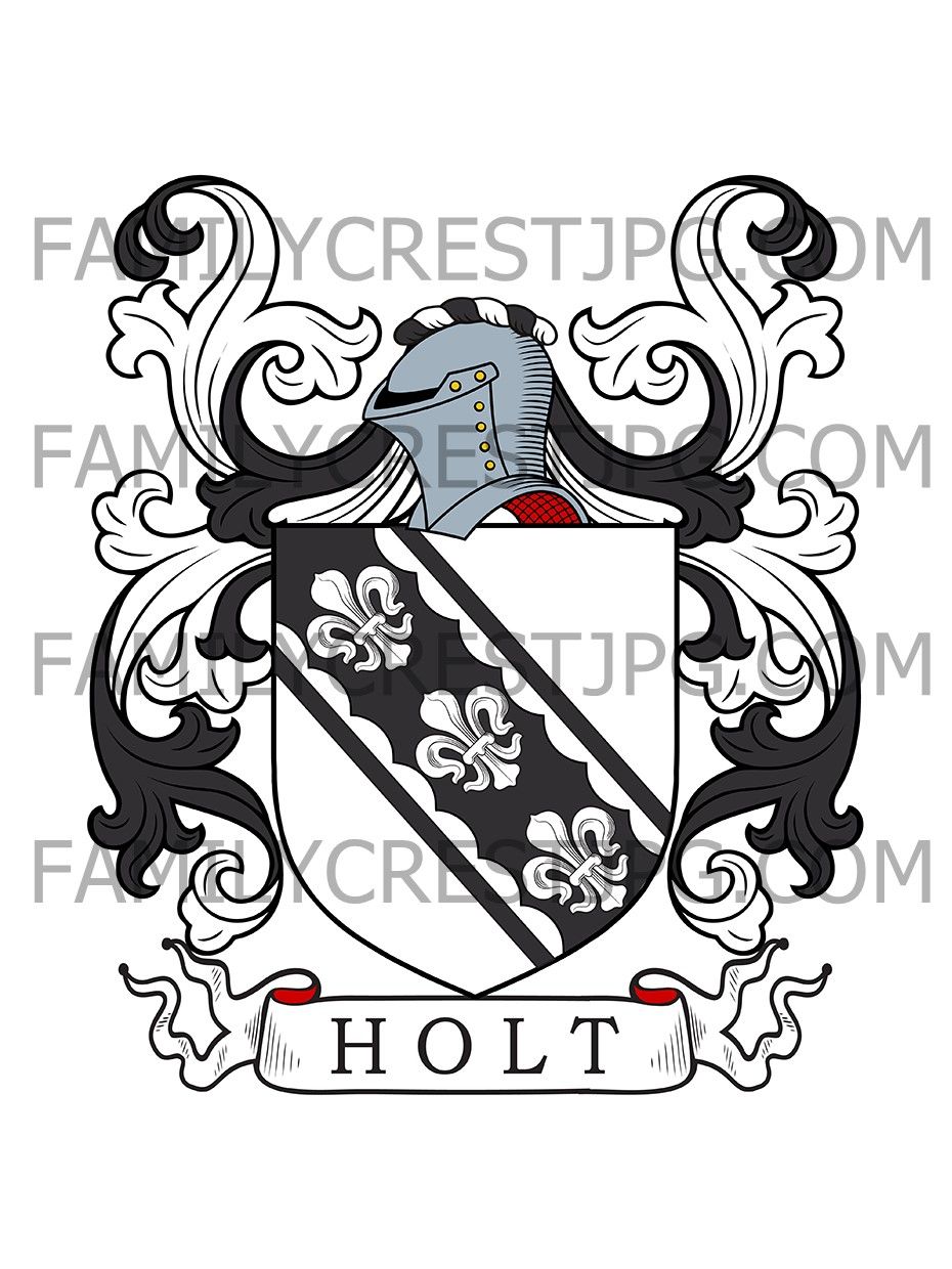 Holt Family Crest - Bridge Hall, co. Lancashire, England