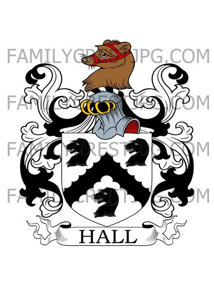 Hall Family Crest -  Narrow Water, co. Down &amp;  Knockbrack, co. Galway, Ireland