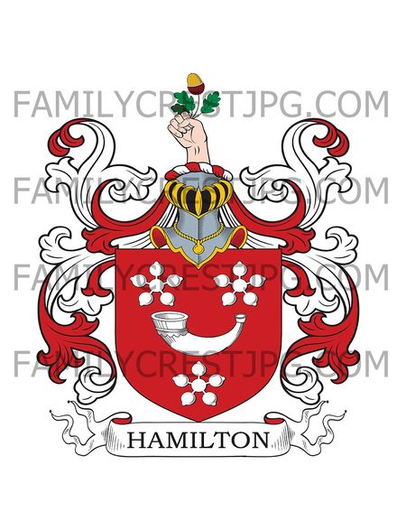 Hamilton Family Crest - Aikenhead, co. Renfrew, Scotland