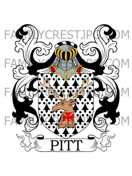 Pitt Family Crest