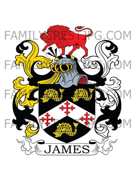 James Family Crest - Otterburn Tower &amp; Rochester, co. Northumberland, England
