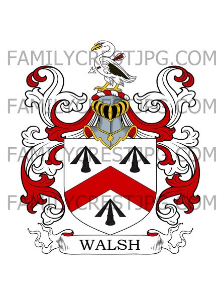 Walsh Family Crest