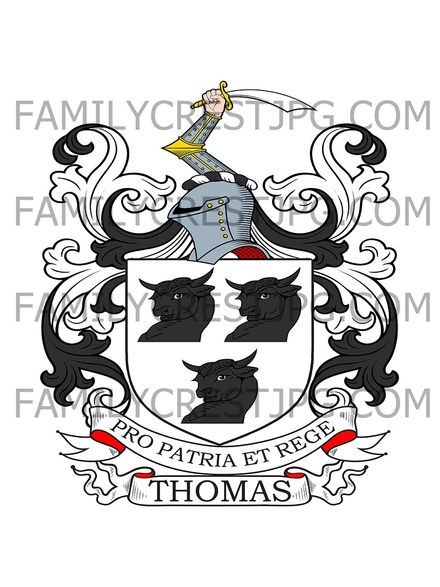 Thomas Family Crest -  Llanedern, co. Glamorgan, Wales