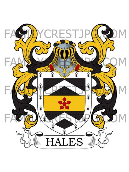 Hales Family Crest