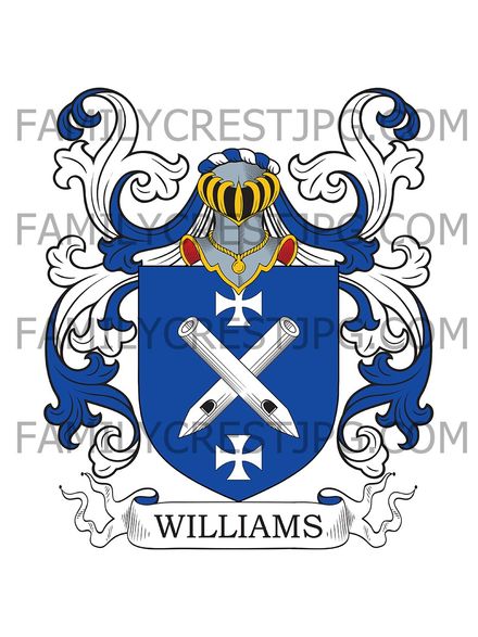 Williams Family Crest - Berkshire &amp; Oxford, England
