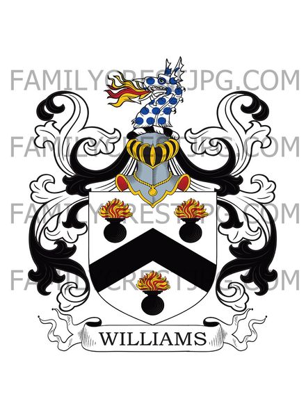 Williams Family Crest - Chichester, co. Sussex, England