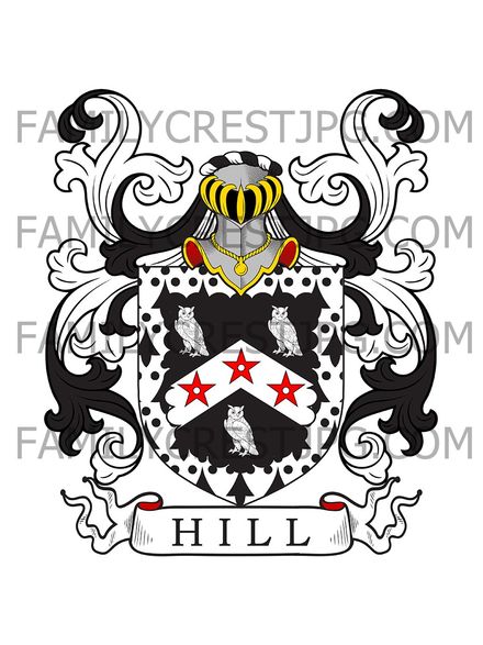 Hill Family Crest - Gloucester, England