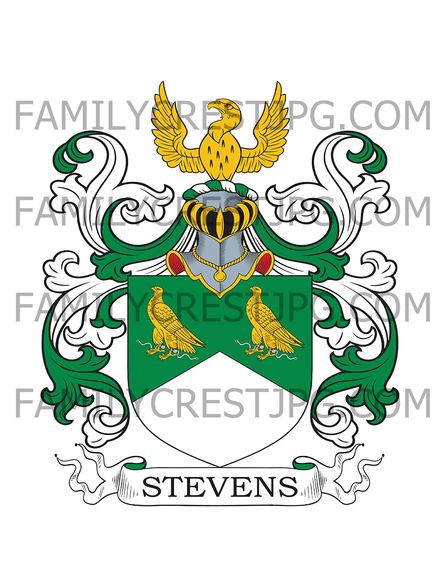 Stevens Family Crest - Culham &amp; Bradfield, co. Berkshire, England