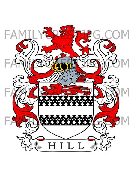 Hill Family Crest - Wexford, Ireland