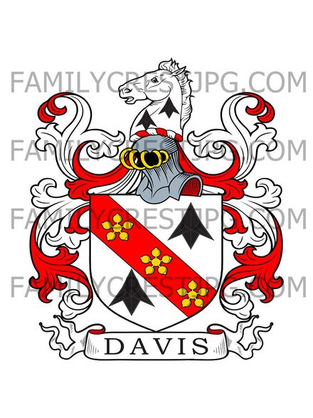 Davis Family Crest - Kilkenny, Ireland
