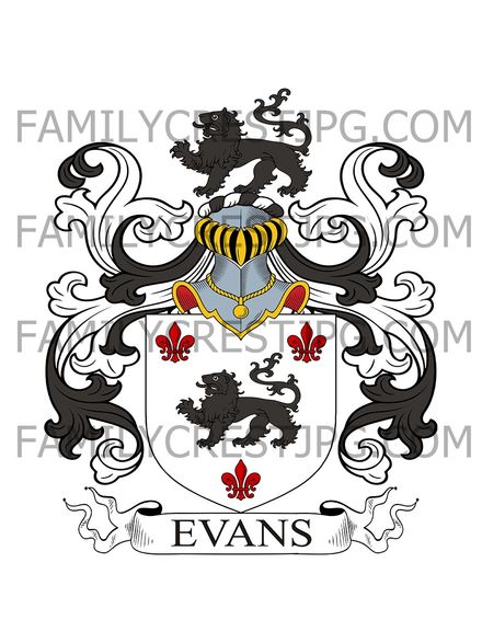 Evans Family Crest - Montgomery, Wales &amp; England