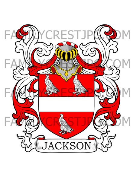 Jackson Family Crest - Snaydall &amp; Whitby, England