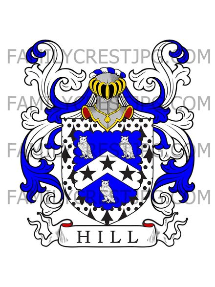 Hill Family Crest - Alveston, co. Gloucester, England