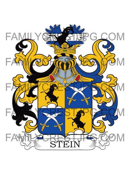 Stein Family Crest - von Ronsberg 1641