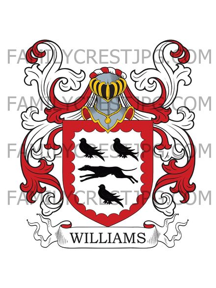 Williams Family Crest - Dorset, England
