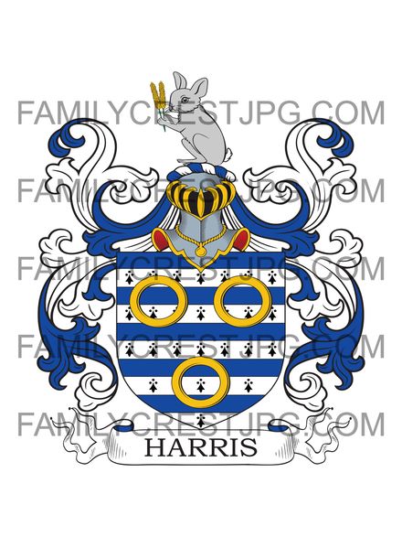 Harris Family Crest - Kilkenny, Ireland