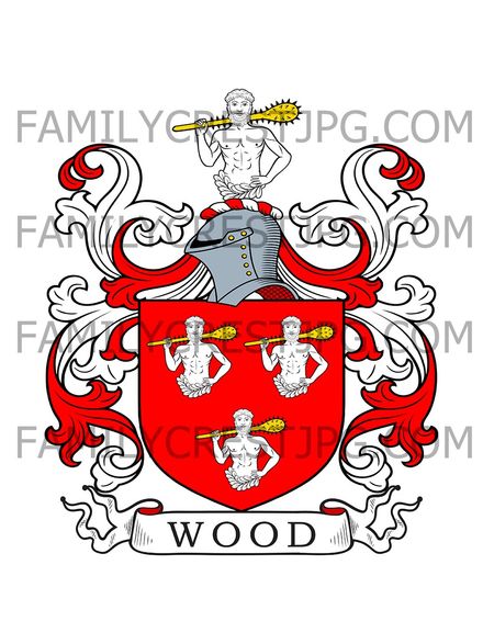 Wood Family Crest - Brize Norton, co. Oxford, &amp; Shynwood, co. Shropshire, England 