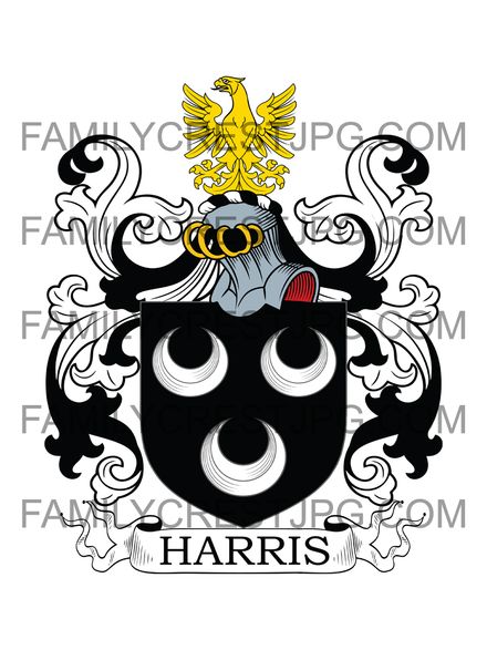 Harris Family Crest - Radford, co. Devon, England