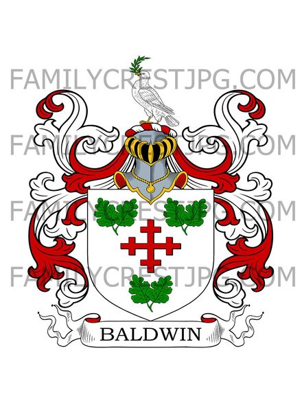 Baldwin Family Crest - Cork, Ireland