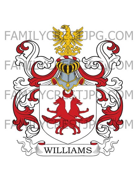 Williams Family Crest - Bodelwyddan, co. Flintshire, Wales