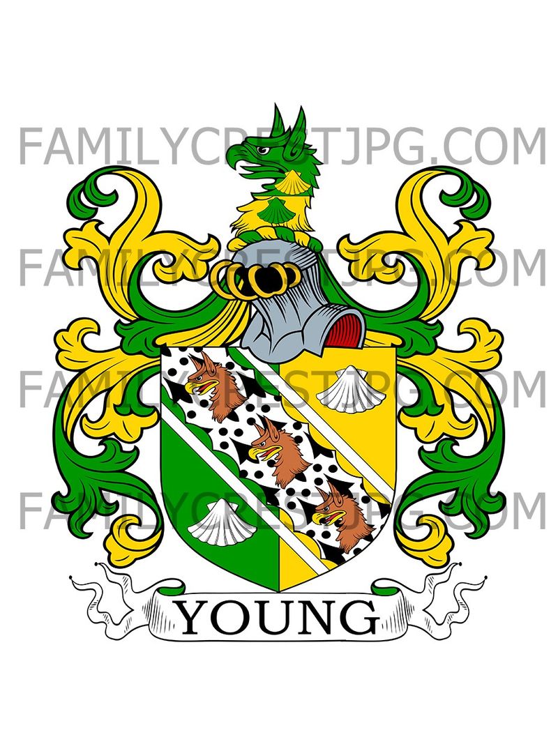 Young Family Crest - Hawkhurst, co. Kent, England