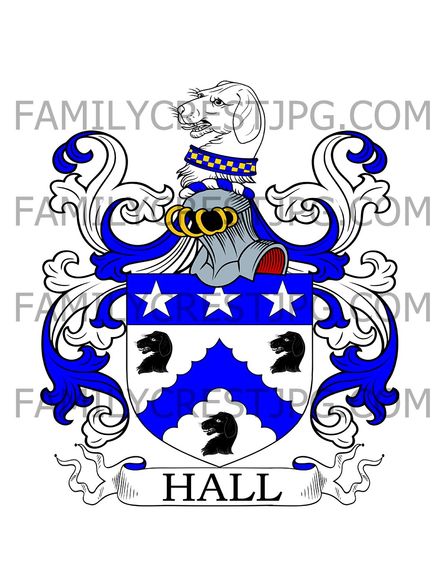 Hall Family Crest - Newsam, co. Durham, England